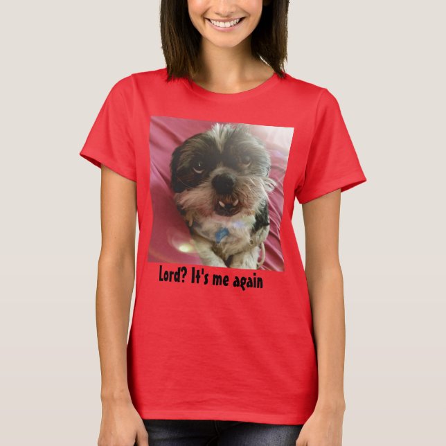 Camiseta ¿Señor? Es yo otra vez Shih Tzu Meme (Anverso)