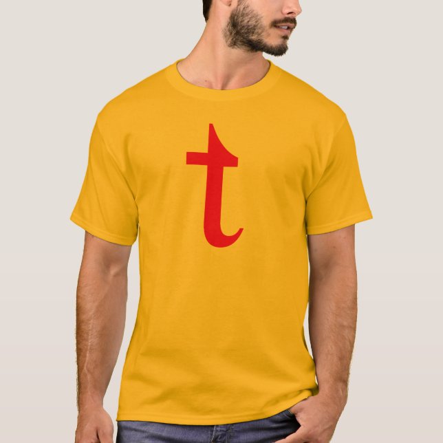 Camiseta Señor Terrific T-Shirt (Anverso)