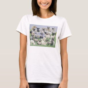 Camiseta Sensación vergonzoso