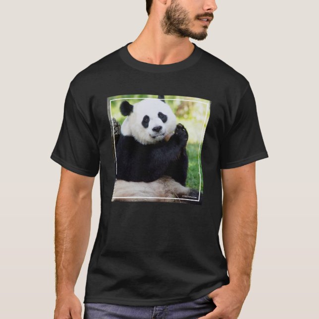 Camiseta Sentada de la panda gigante (Anverso)