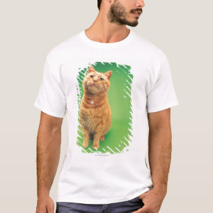 Camiseta Sentada del gato del jengibre, mirando hacia