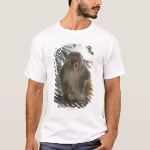 Camiseta Sentada del mono de Macaque del macaco de la India