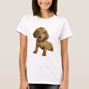 Camiseta Sentada linda del perrito del Dachshund (Brown