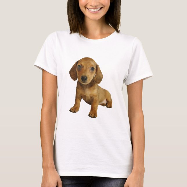 Camiseta Sentada linda del perrito del Dachshund (Brown (Anverso)
