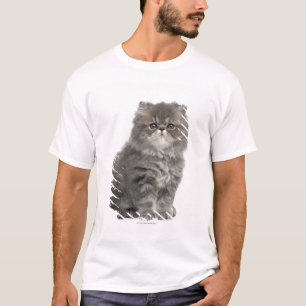 Camiseta Sentada persa del gatito (2 meses)