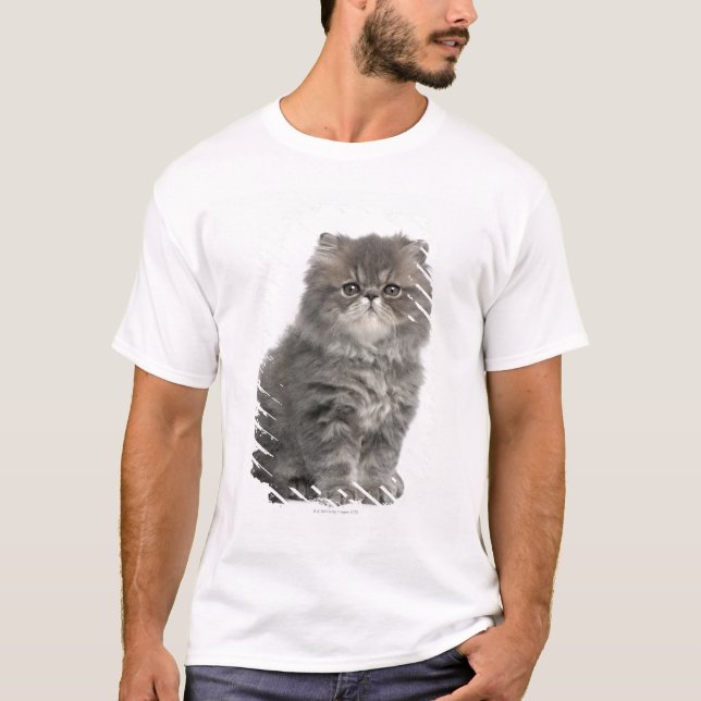 Camiseta Sentada persa del gatito (2 meses) (Anverso)