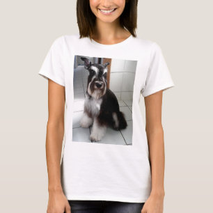 Camiseta Sentido de Black-and-Silver_miniature_schnauzer