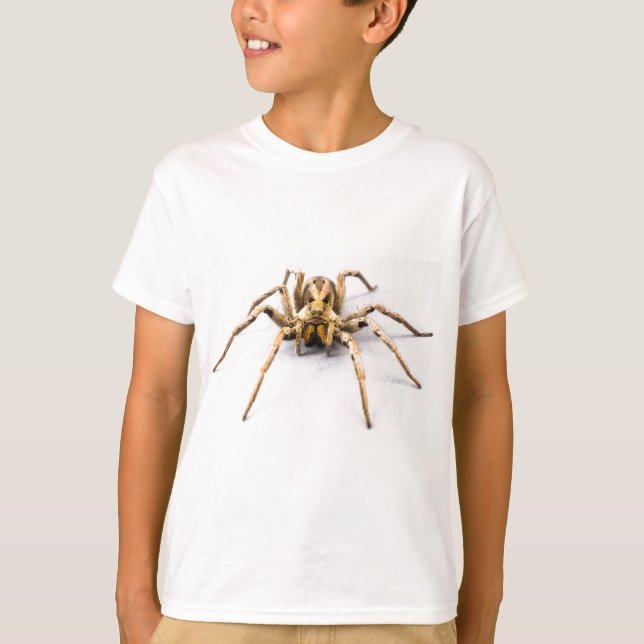 Camiseta Sentido de la araña (Anverso)