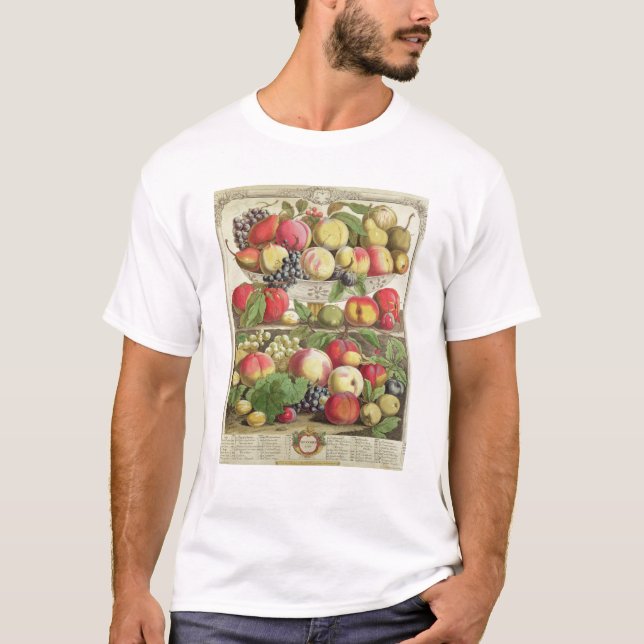 Camiseta Septiembre, a partir de 'doce meses de las frutas (Anverso)