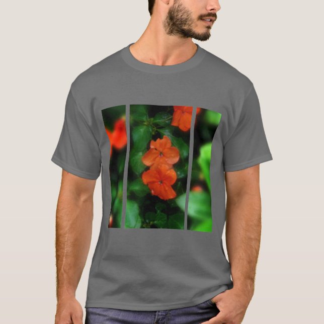 Camiseta Serenidad (Anverso)