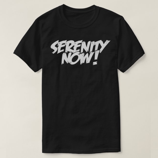 Camiseta SERENITY NOW Angry Alcoholics AA Narcotics NA Anon (Diseño del anverso)