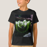 Serpiente verde