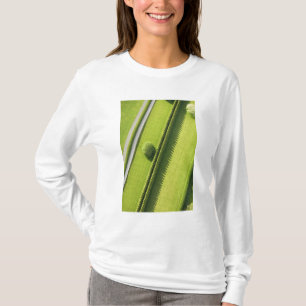 Camiseta Seto en el Hamptons