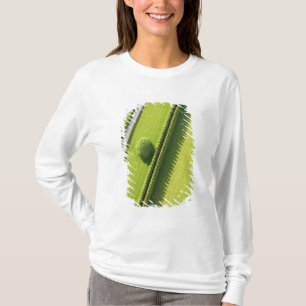 Camiseta Seto en el Hamptons