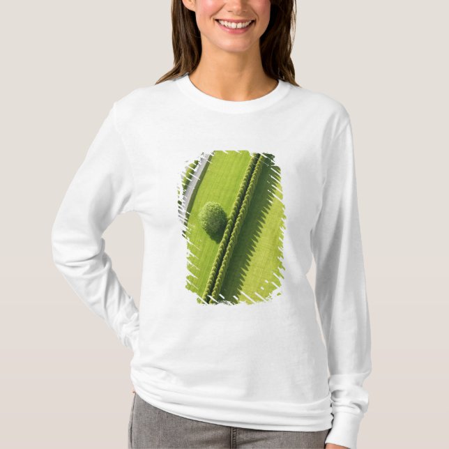 Camiseta Seto en el Hamptons (Anverso)