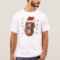 Setter Santa Paws de Irlanda