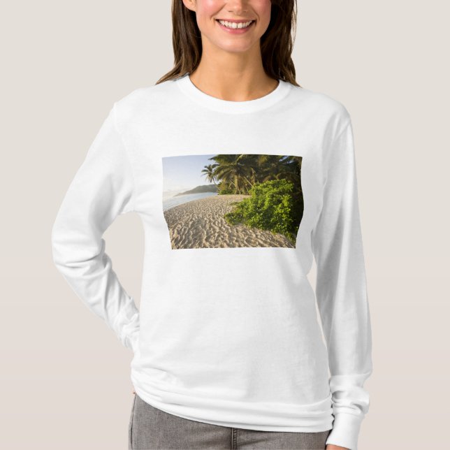 Camiseta Seychelles, Isla de Mahe, Anse Marie-Louise (Anverso)