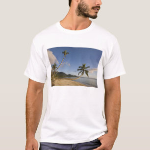 Camiseta Seychelles, isla de Mahe, palmera horizontal,