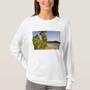 Camiseta Seychelles, isla de Mahe, playa de Anse Takamaka,