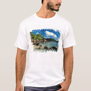 Camiseta Seychelles, isla Mahe, playa Anse Royale.3
