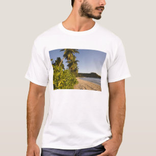 Camiseta Seychelles, isla Mahe, playa de Anse Takamaka,