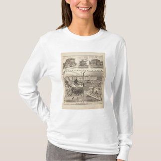 Camiseta Seymour, condado de Sabinand, Minnesota