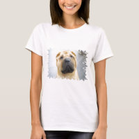 shar-pei-14.jpg