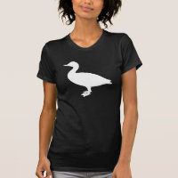Sheldrake Duck