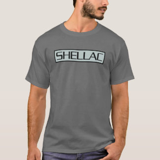 Camiseta Shellac En Action Park divertido