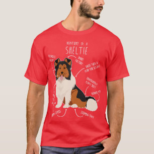 Camiseta Sheltie Shetland Sheepdog Anatomía 1