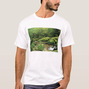 Camiseta Shiratani Unsuikyo, Yakushima, Kagoshima, Japón