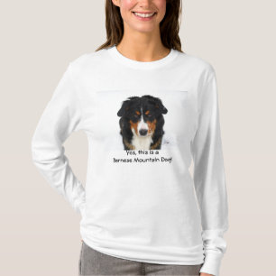 Camiseta ¡Sí, esto es un perro de montaña de Bernese!
