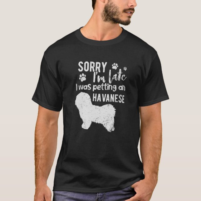 Camiseta Siento Haber Llegado Tarde Y Estaba Paseando Un Pe (Anverso)