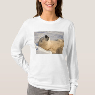 Camiseta Siesta de oso polar