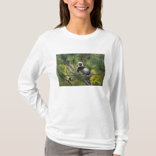Camiseta Sifaka de Coquerel en el bosque