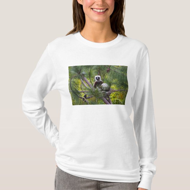 Camiseta Sifaka de Coquerel en el bosque (Anverso)