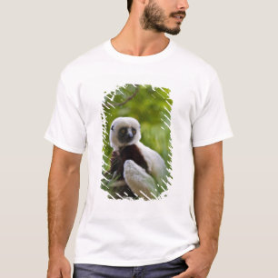 Camiseta Sifaka de Coquerel en el bosque 2