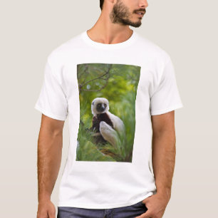 Camiseta Sifaka de Coquerel en el bosque 2