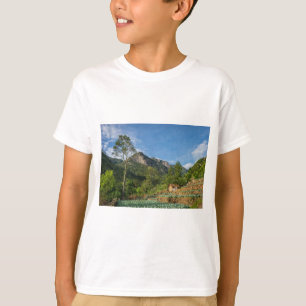 Camiseta Sigiriya Rock Sri Lanka - recuerdo de via