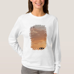 Camiseta Silueta de árbol en la llanura, Masai Mara