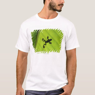 Camiseta Silueta de la rana a través de la hoja del pláta