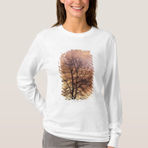 Camiseta Silueta de un árbol con el cielo rosado y