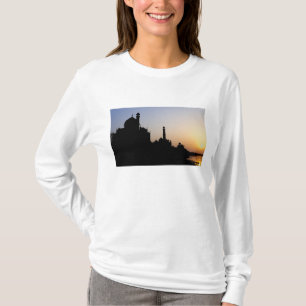 Camiseta Silueta del Taj Mahal al atardecer, Agra,