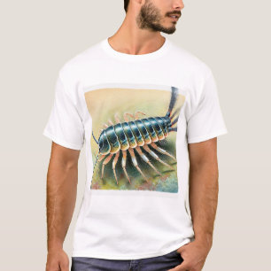 Camiseta Silverfish in Natural Habitat 200824IREF221 - Wate