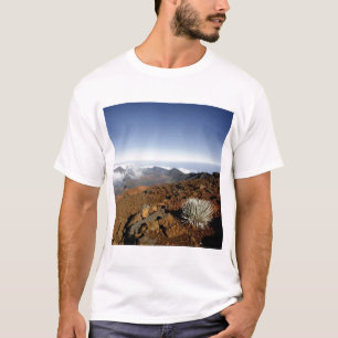 Camiseta Silvero en la cuenca del cráter Haleakala desde ce