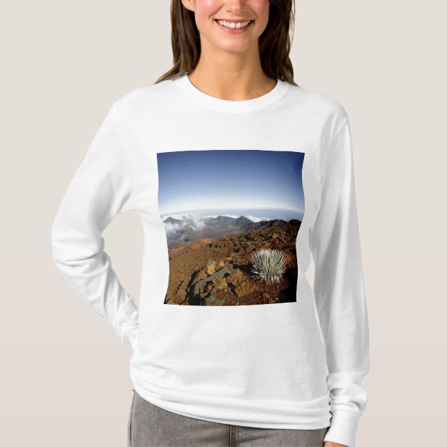 Camiseta Silvero en la cuenca del cráter Haleakala desde ce (Anverso)