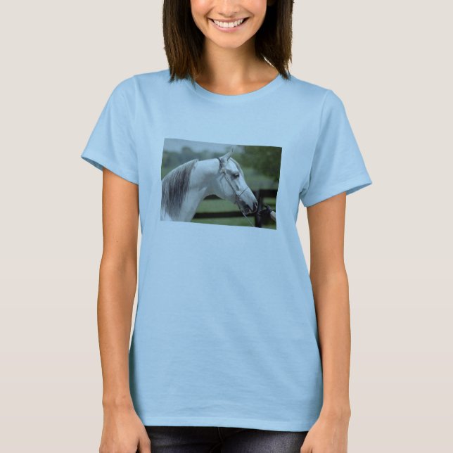 Camiseta Silverstone Shamal (Anverso)