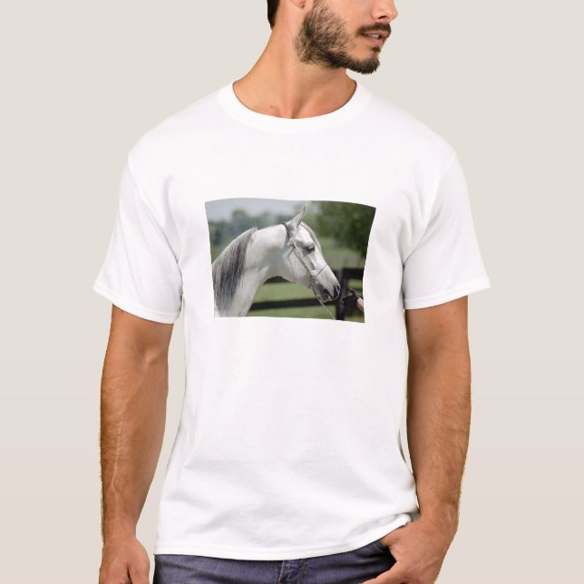 Camiseta Silverstone Shamal (Anverso)