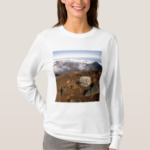 Camiseta Silversword en el borde del cráter Haleakala desde
