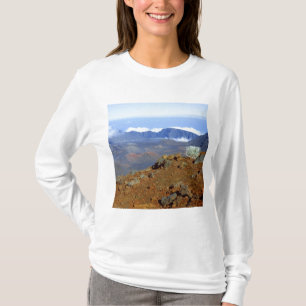 Camiseta Silversword en el borde del cráter Haleakala desde